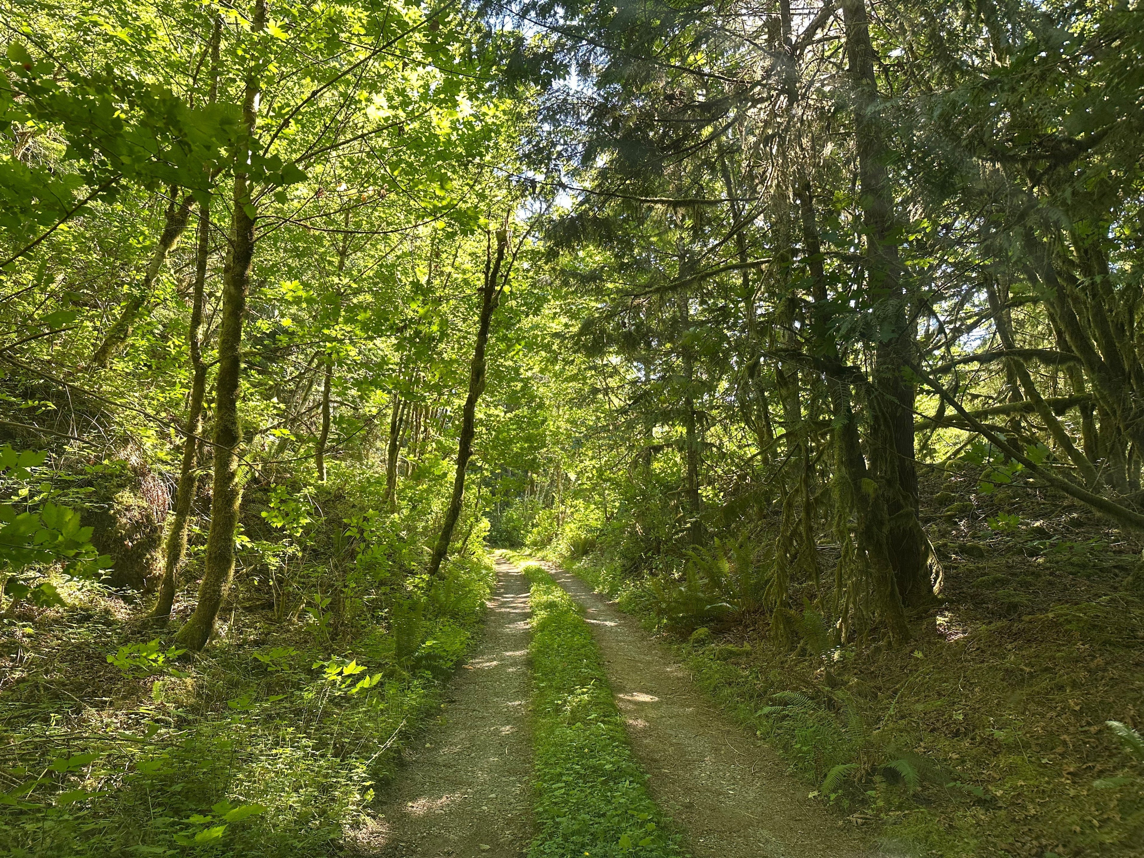 Return to Rivendell